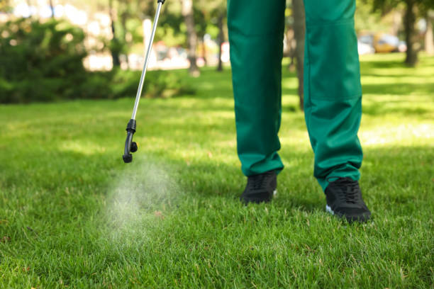 Best Mosquito Control Services  in Pleasant Run Farm, OH