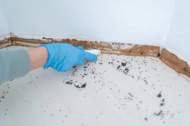 Best Emergency Pest Control  in Pleasant Run Farm, OH